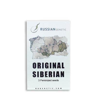 Original Siberian auto fem (Russian Genetic) семена конопли