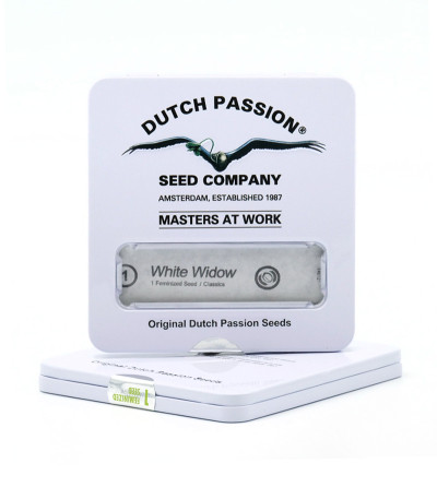 White Widow fem (Dutch Passion) семена конопли