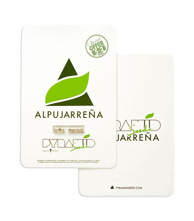 Alpujarrena fem (Pyramid Seeds) семена конопли