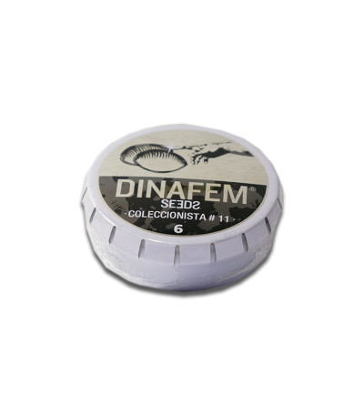 Pack Coleccionista №11 микс семян конопли