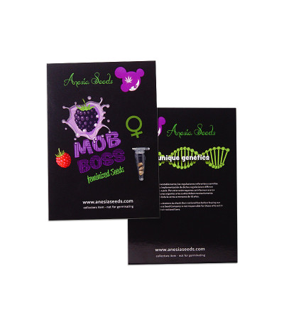 Mob Boss fem (Anesia Seeds) семена конопли
