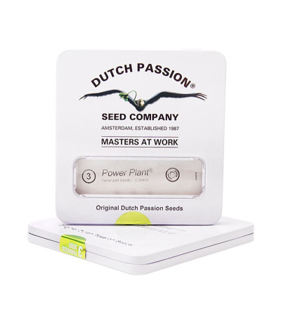 Power Plant fem (Dutch Passion) семена конопли