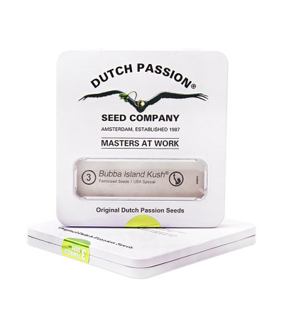Bubba Island Kush fem (Dutch Passion) семена конопли