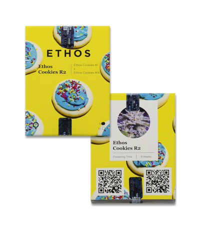 Ethos Cookies R2 fem (Ethos Genetics) семена конопли