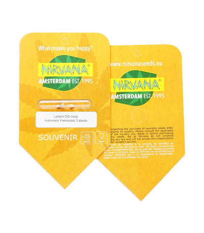 Lemon OG Haze Automatic fem (Nirvana Seeds) семена конопли