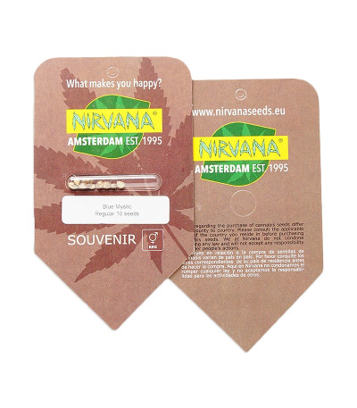 Blue Mystic (Blueberry) reg (Nirvana Seeds) семена конопли