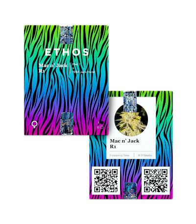 Mac n’ Jack R1 fem (Ethos Genetics) семена конопли