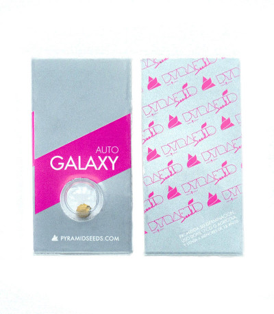 Auto Galaxy fem (Pyramid Seeds) семена конопли