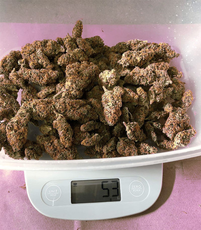 West Coast O.G. Auto fem (FastBuds) семена конопли