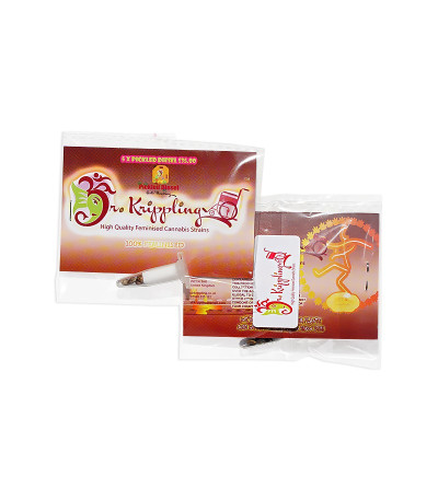 Pickled Diesel Auto Flowering fem (Dr. Krippling Seeds) семена конопли