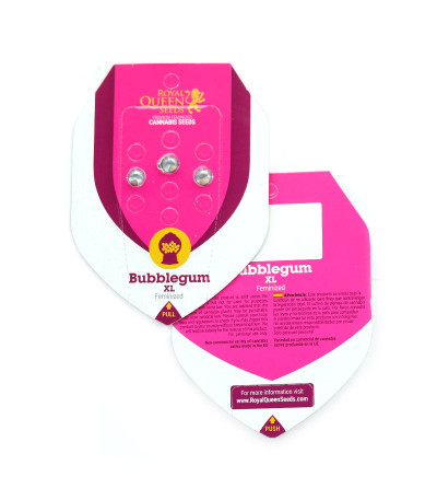Bubblegum XL fem (Royal Queen Seeds) семена конопли