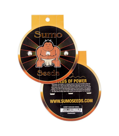 Sweet Harlem Diesel fem (Sumo Seeds) семена конопли