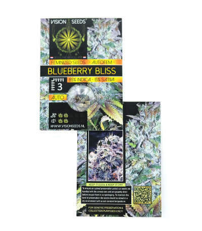 Blueberry Bliss Auto Fem (Vision Seeds) семена конопли