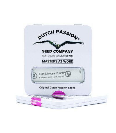 Auto Mimosa Punch fem (Dutch Passion) семена конопли