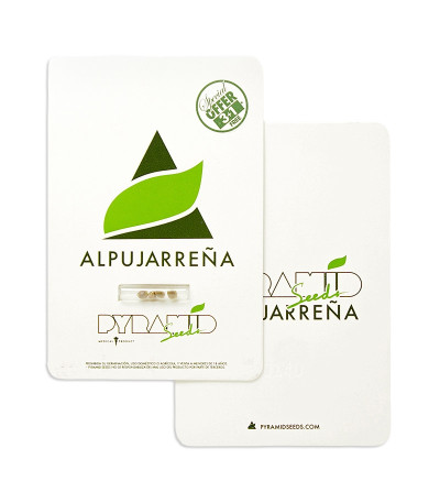 Alpujarrena fem (Pyramid Seeds) семена конопли
