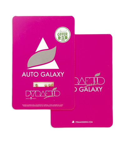 Auto Galaxy fem (Pyramid Seeds) семена конопли