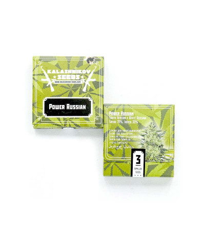 Power Russian (Kalashnikov Seeds) семена конопли