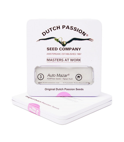 Auto Mazar fem (Dutch Passion) семена конопли