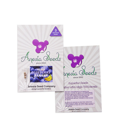 Auto Blueberry Banana fem (Anesia Seeds) семена конопли