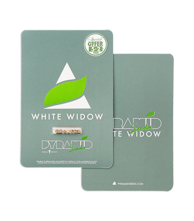 White Widow fem (Pyramid Seeds) семена конопли