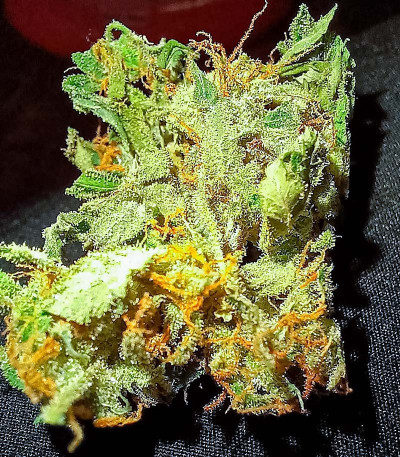 Auto Banana Cookies fem (Advanced Seeds) семена конопли