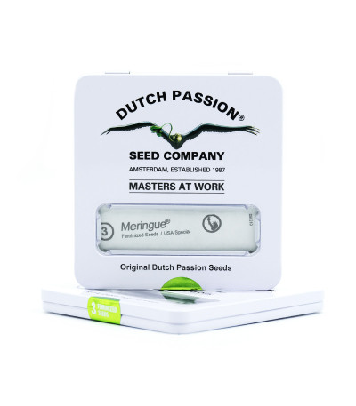Meringue fem (Dutch Passion) семена конопли