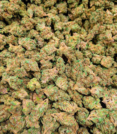 Super Boof fem от Barney's Farm семена конопли