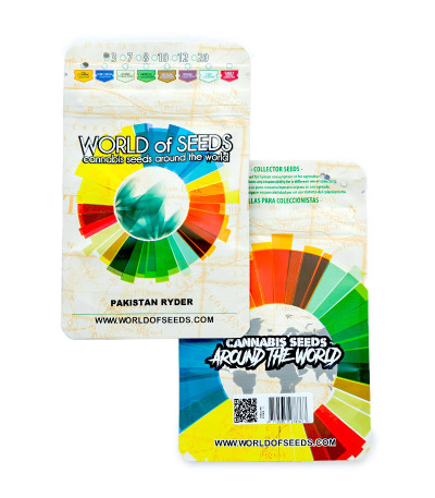 Pakistan Ryder Auto fem семена конопли