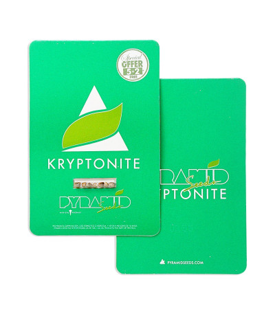 Kryptonite fem (Pyramid Seeds) семена конопли