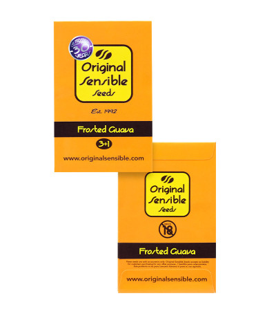 Frosted Guava fem (Original Sensible Seeds) семена конопли