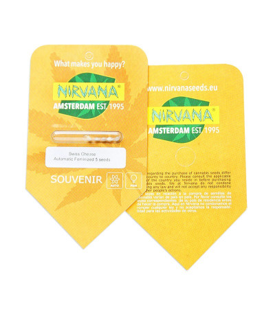 Swiss Cheese Automatic fem семена конопли