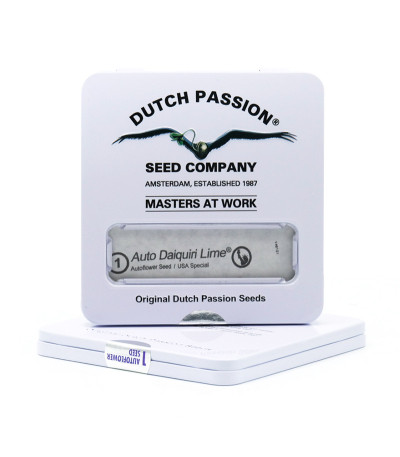 Auto Daiquiri Lime fem (Dutch Passion) семена конопли
