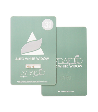Auto White Widow fem (Pyramid Seeds) семена конопли