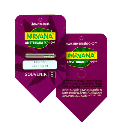 Snow White (Big Bud) fem (Nirvana Seeds) семена конопли