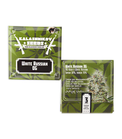 White Russian OG (Kalashnikov Seeds) семена конопли