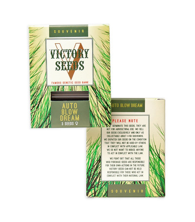 Auto Blow Dream fem (Victory Seeds) семена конопли