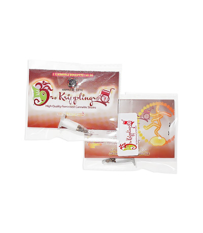 Kripple Roulette fem (Dr. Krippling Seeds) семена конопли