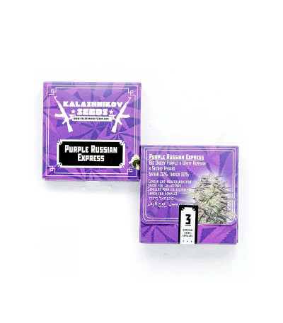 Purple Russian Express (Kalashnikov Seeds) семена конопли