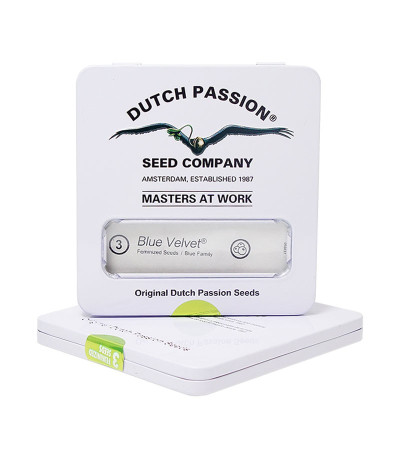 Семена марихуаны Blue Velvet в оригинальной упаковке