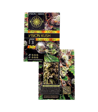 Vision Kush Auto Fem (Vision Seeds) семена конопли