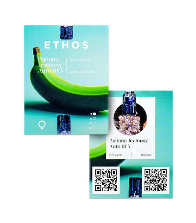 Banana Jealousy Auto RF3 fem (Ethos Genetics) семена конопли