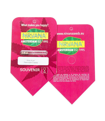 Misty Kush fem семена конопли