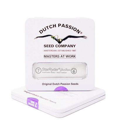 StarRyder Auto fem (Dutch Passion) семена конопли