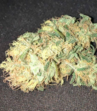 Afghan Cow fem (Dr. Krippling Seeds) семена конопли
