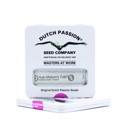 Auto Mokum's Tulip fem (Dutch Passion) семена конопли