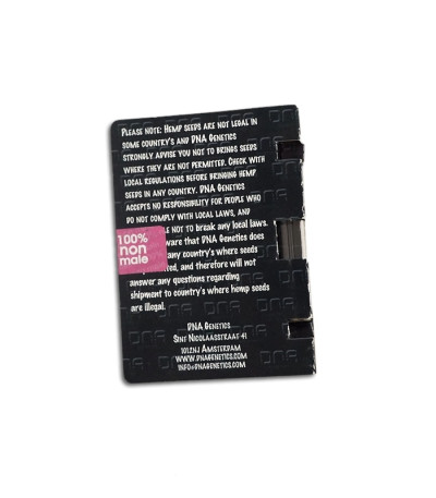 Sour Cream fem (DNA Genetics) семена конопли