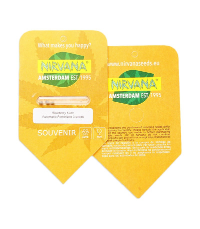 Blueberry Kush Automatic fem (Nirvana Seeds) семена конопли