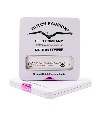 CBD Auto Charlotte’s Angel fem (Dutch Passion) семена каннабиса