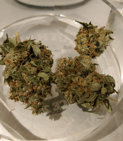 Banana Purp fem (Medical Seeds) семена конопли