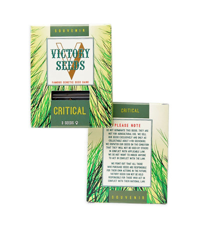 Critical fem (Victory Seeds) семена конопли